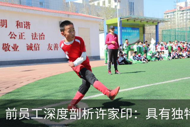 前员工深度剖析许家印：具有独特魅力与非凡果敢